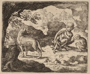 The Wolf and the Monkeys