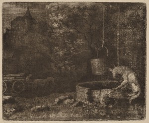 The Wolf and the Well