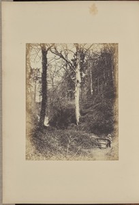 The Young Audubon