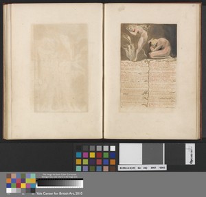 "They call'd her Pity, and fled..." (Plate 19)