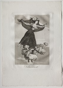 They Have Flown, Plate 61