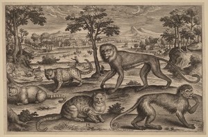 Three Cats and Two Monkeys