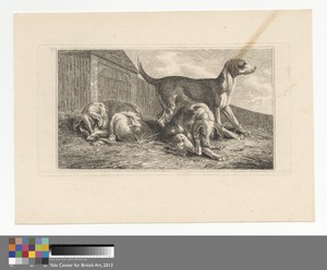 Three Dogs
