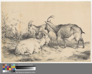 Three Goats