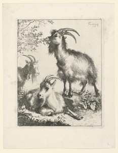 Three Goats