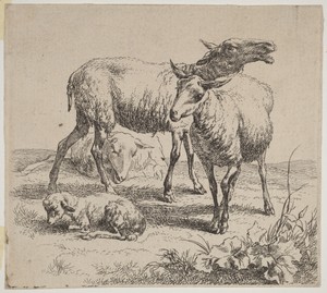 Three Sheep and a Lamb