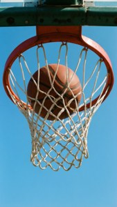 Through the Net