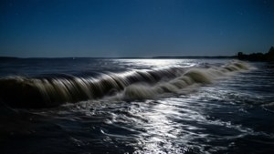 Tidal Bore at Night
