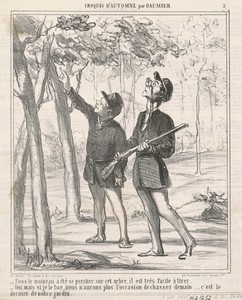 Tiens, le moineau a été sepercher