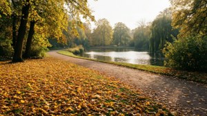 Tiergarten Autumn