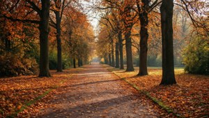 Tiergarten Autumn Walk