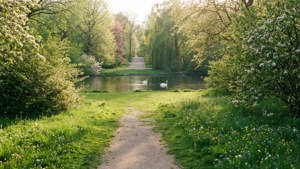 Tiergarten Spring Path