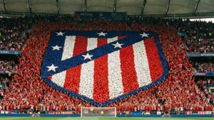 Tifo Display