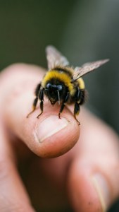 Tiny Friend