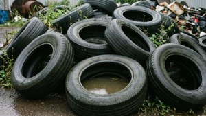 Tire Dump Overgrowth