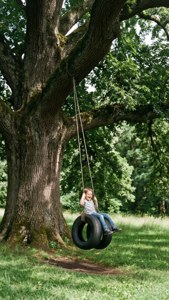 Tire Swing Joy