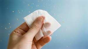 Tissue and Pollen
