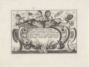 Titelprent in cartouche voor een serie met verschillende insecten