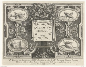 Titelprent voor: Vermis Sericus