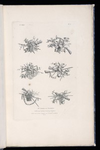 Title Page