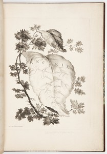 Title Page