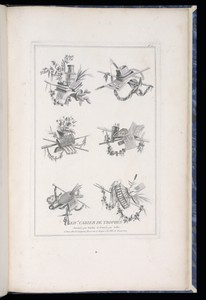 Title Page