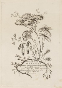 Title Page, from "Fleures Persannes"