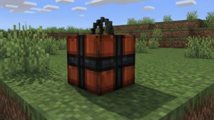 TNT on Grass Day