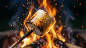 Toasting Marshmallow Close-up
