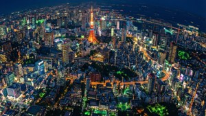 Tokyo Night Grid