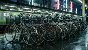 Tokyo Train Station