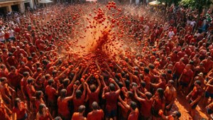 Tomato Battle from Above