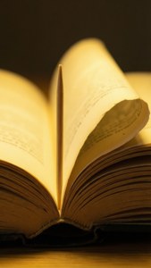 Toothpick Bookmark in Book