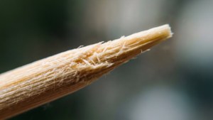 Toothpick Splinter Tip