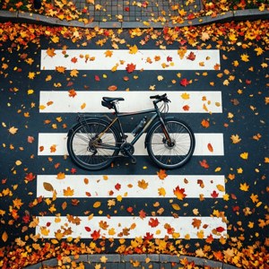 Top-Down Autumn Crosswalk