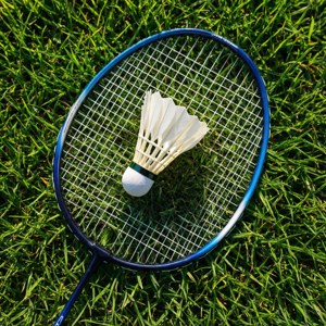 Top-Down on Grass
