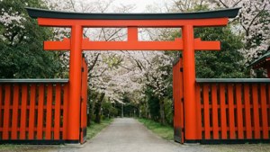 Torii Gate Door Frame