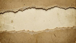 Torn Paper Edge