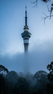 Tower in the Mist