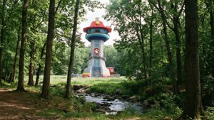 Tower in the Woods