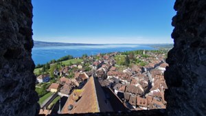 Tower View