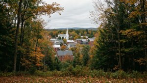 Town in the Woods