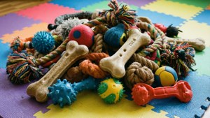 Toy Pile Fun
