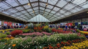 Tradex Garden Show