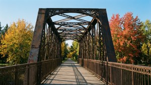 Traffic Bridge Autumn
