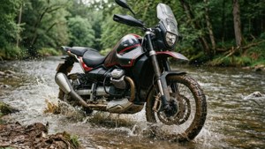 Trail Blazer