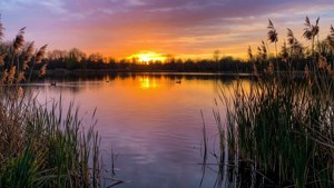 Tranquil Lake Sunset