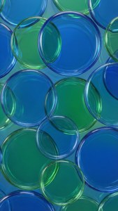 Transparent Circle Pattern