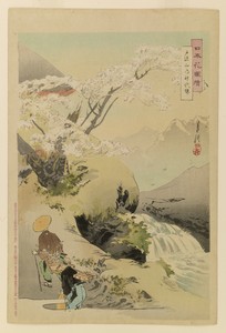 Travelers pass sacred cherry tree at Mt. Togakushi