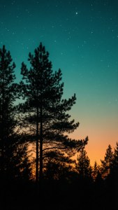 Tree Silhouette Ombre